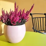Hygge Condove